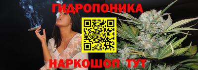 бошки Заводоуковск