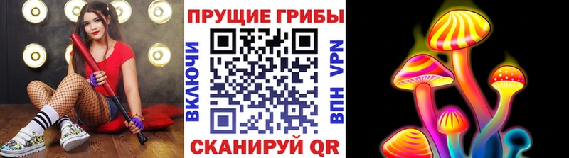 как найти закладки  Медногорск  Галлюциногенные грибы Magic Shrooms 