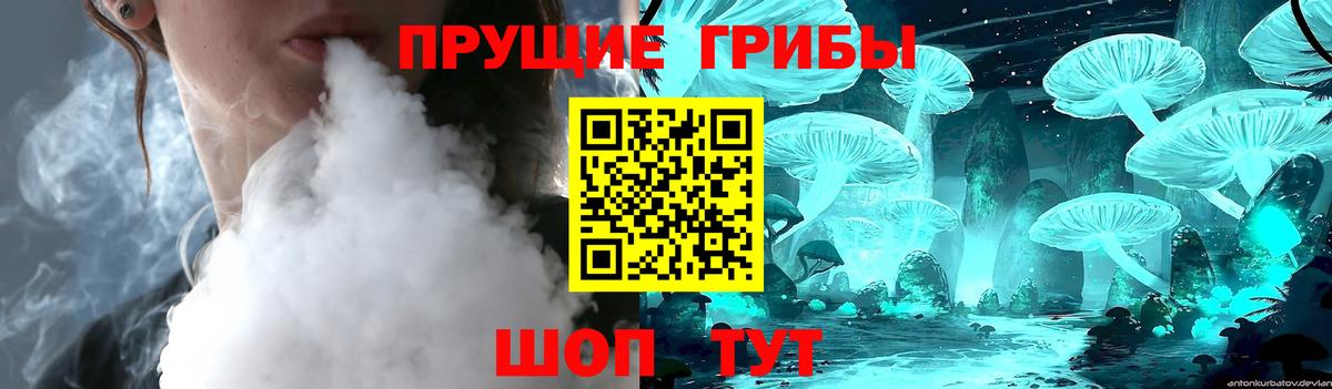Медногорск  Галлюциногенные грибы Psilocybe  Псилоцибиновые грибы Psilocybe  Вход с VPN 