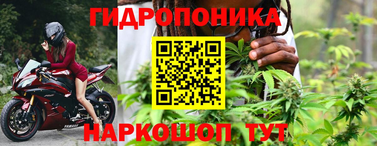 Бошки марихуана White Widow Медногорск